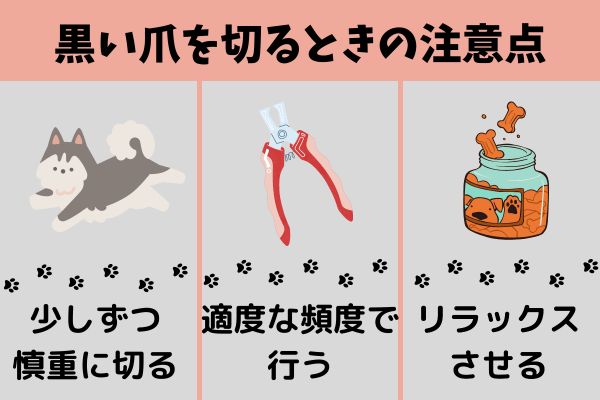 犬の黒い爪をきるときの注意点