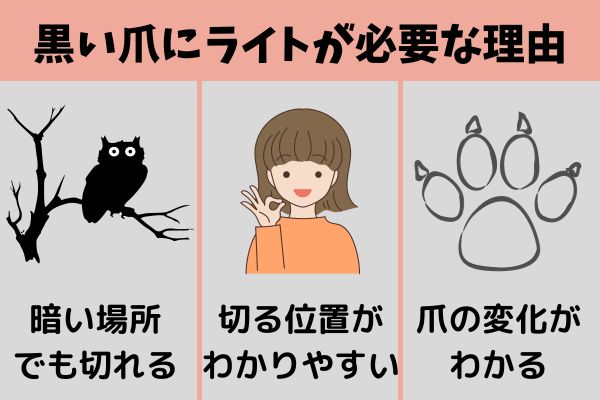 犬の黒い爪をきるときにライトが必要な理由